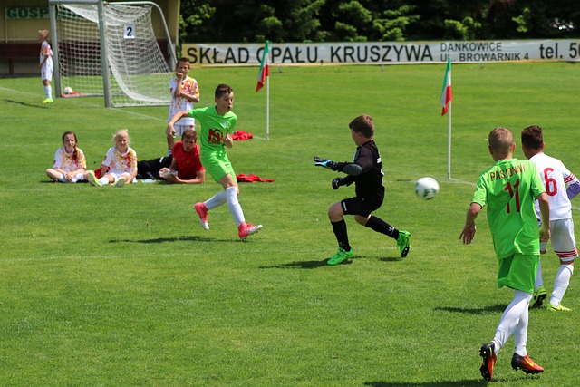 我们可以看 我们可以看