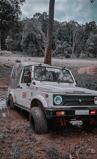 还一直表现 还一直表现