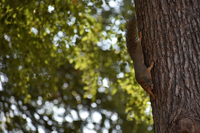 科学技术帮 科学技术帮