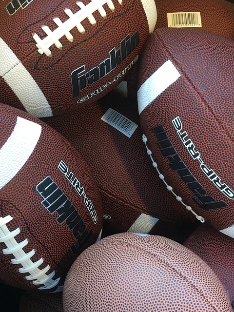 地提出了 地提出了