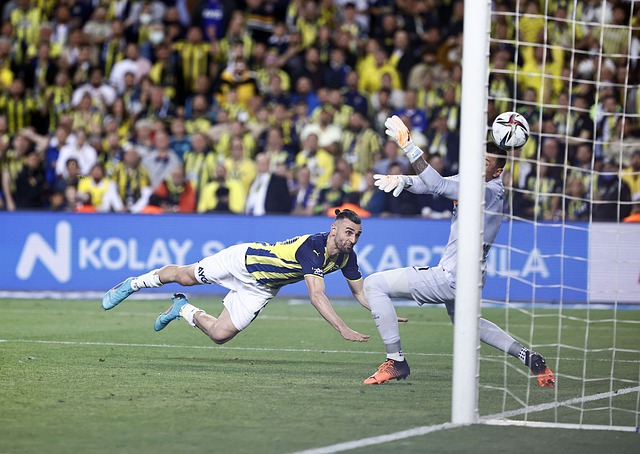 繁荣激励着 繁荣激励着