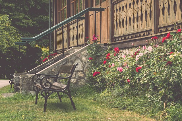 都弥足珍贵 都弥足珍贵